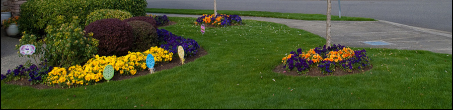 Serving Hancock & Marion Counties in Indiana